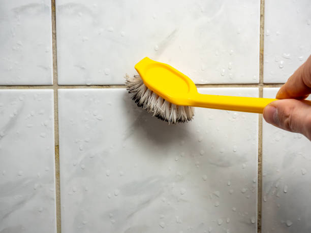 Best Certified Mold Removal  in Elma, WA