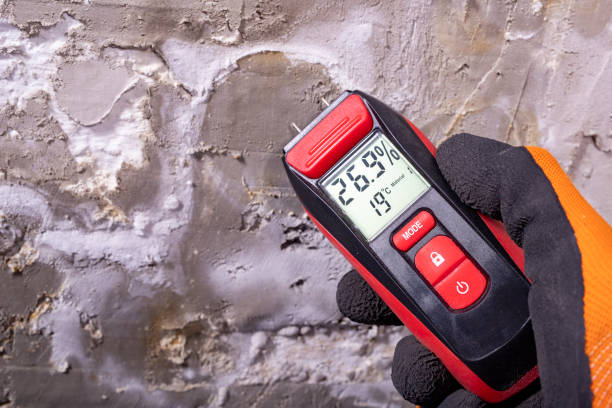 Best Mold Remediation  in Elma, WA