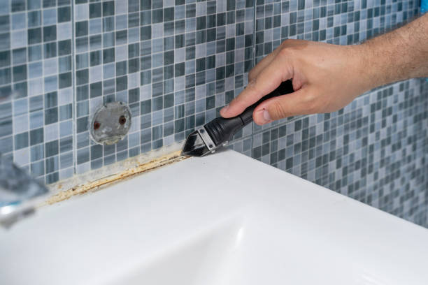 Best Emergency Mold Removal  in Elma, WA