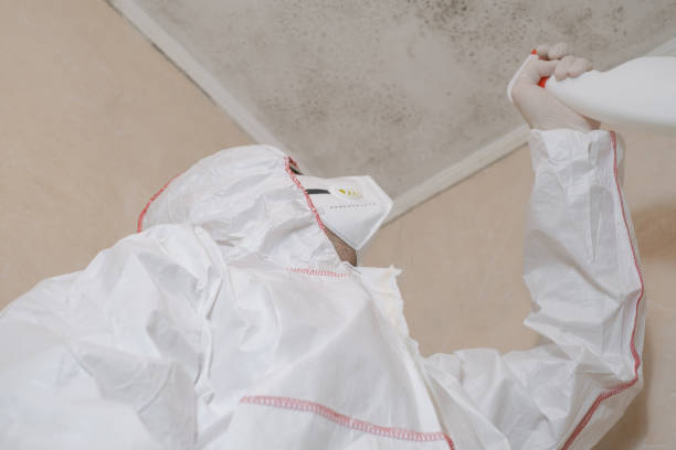 Best Residential Mold Removal  in Elma, WA