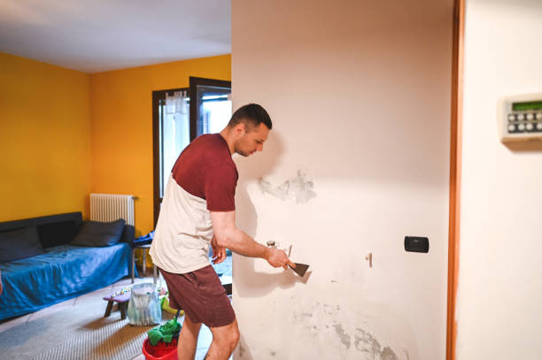 Best Mold Removal Specialists  in Elma, WA